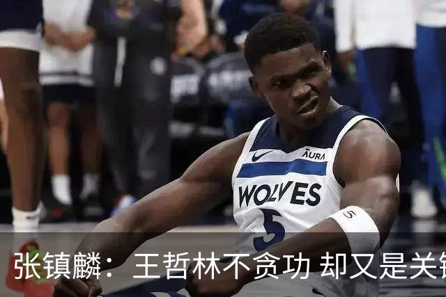 张镇麟：王哲林不贪功 却又是关键时刻能站出来的人 队长当之无愧